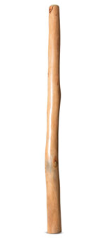 Earl Clements Didgeridoo (EC485)